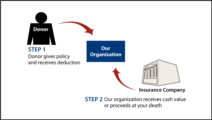 Life Insurance Policy Thumbnail